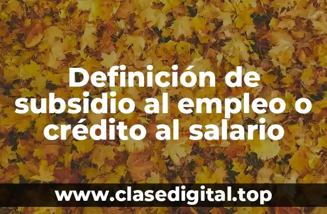 Definición de subsidio al empleo o crédito al salario