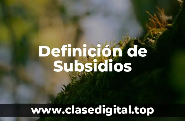 Definición de Subsidios