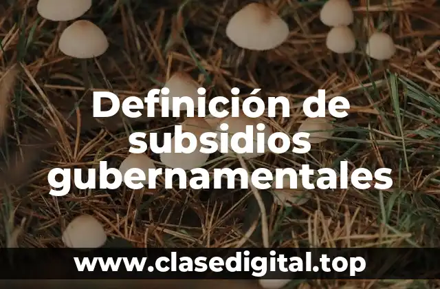 Definición de subsidios gubernamentales