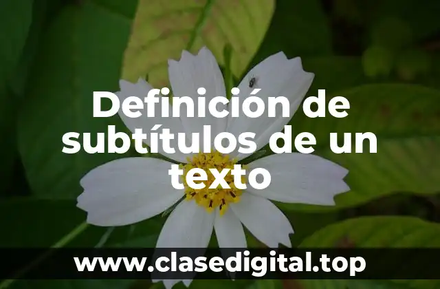 Definición de subtítulos de un texto