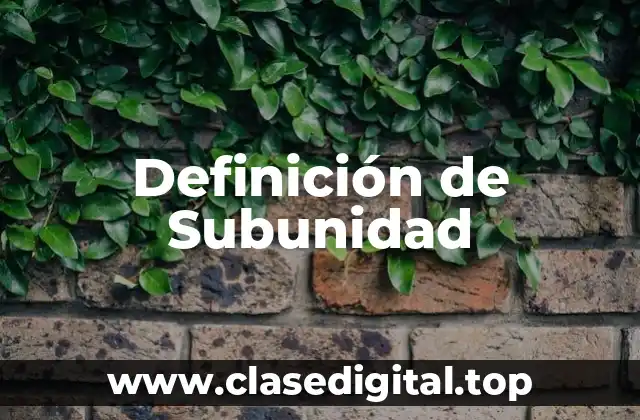 Definición técnica de Subunidad