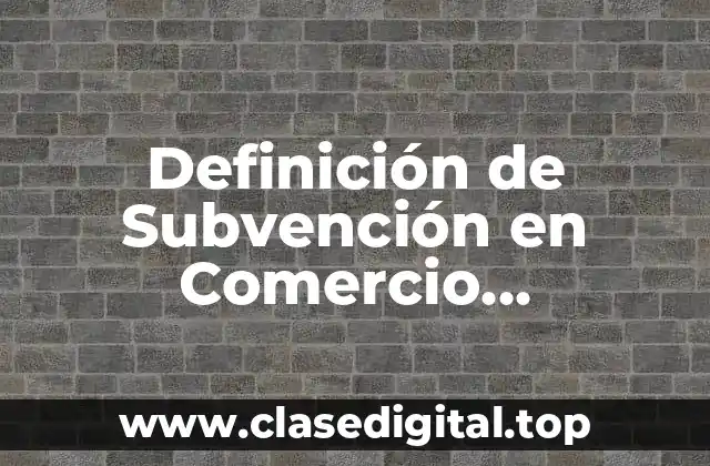 Definición de Subvención en Comercio Internacional