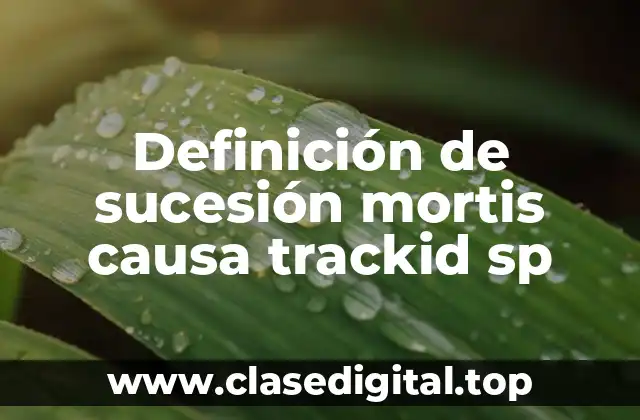 Definición de sucesión mortis causa trackid sp