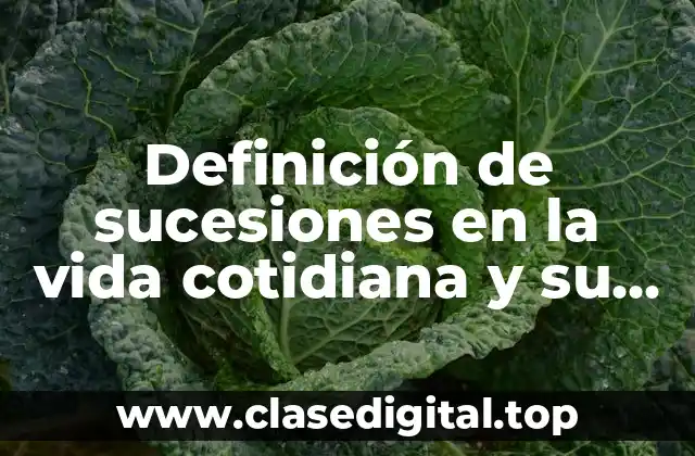 Definición de sucesiones en la vida cotidiana y su significado