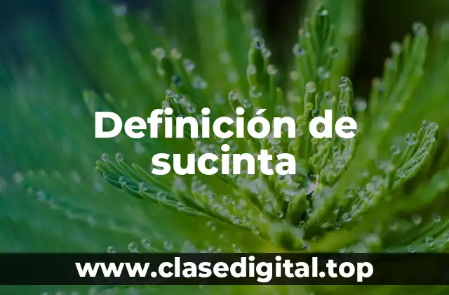 Definición técnica de sucinta