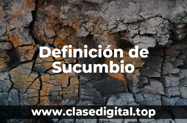 Definición de Sucumbio