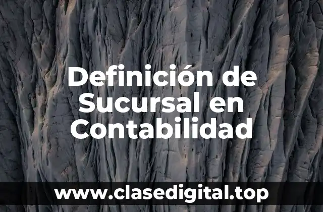 Definición de Sucursal en Contabilidad