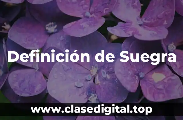 Definición técnica de Suegra