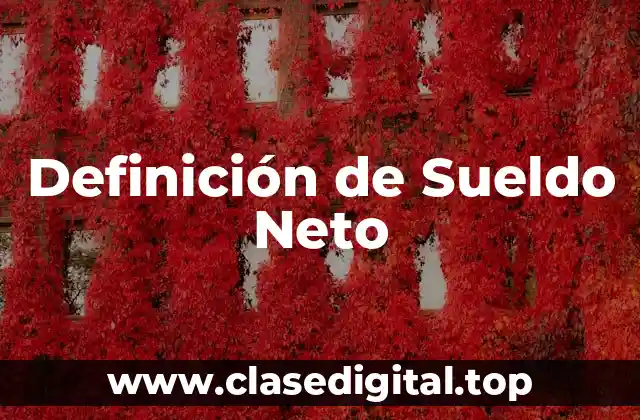 Definición de Sueldo Neto