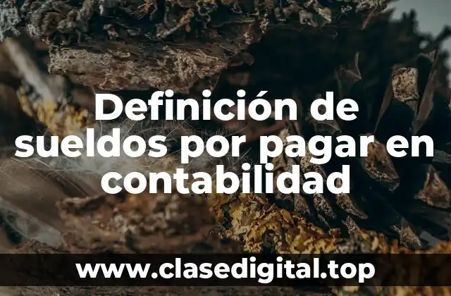 Definición de sueldos por pagar en contabilidad