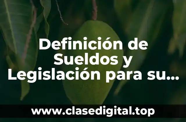 Definición de Sueldos y Legislación para su Regulación