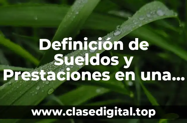 Definición técnica de sueldos y prestaciones en una maquila