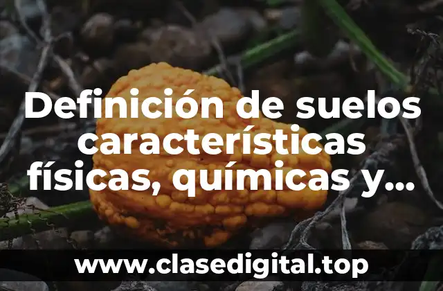 Definición de suelos características físicas, químicas y biológicas