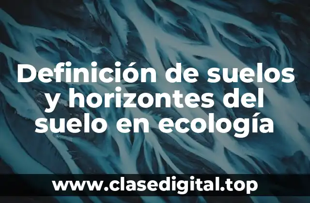 Definición de suelos y horizontes del suelo en ecología