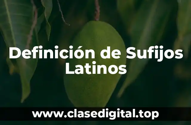 Definición de Sufijos Latinos