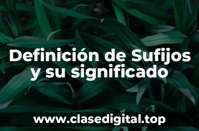 Definición de Sufijos y su significado