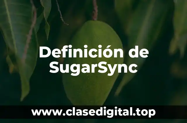 Definición de SugarSync