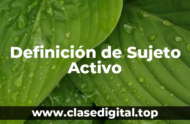 Definición técnica de Sujeto Activo