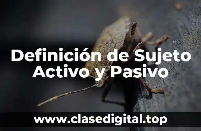 Definición de Sujeto Activo y Pasivo
