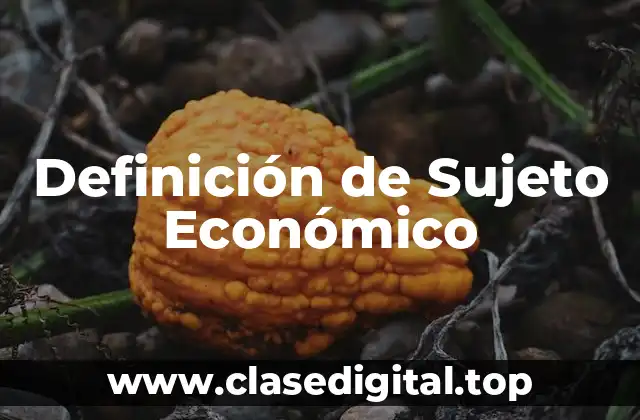 Definición de Sujeto Económico