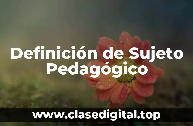 Definición de Sujeto Pedagógico