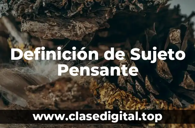 Definición de Sujeto Pensante