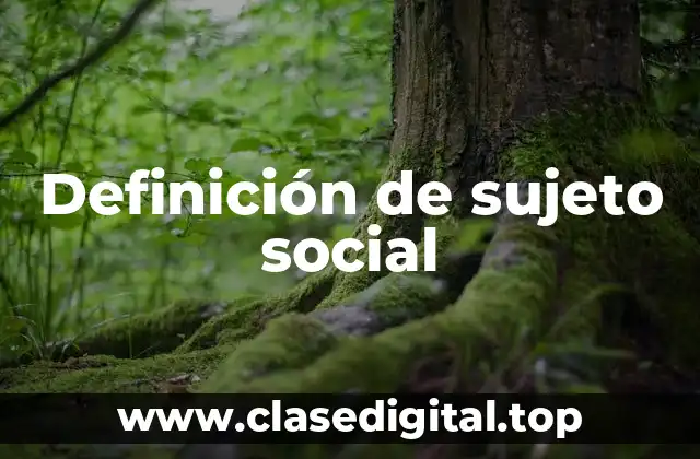 Definición de sujeto social