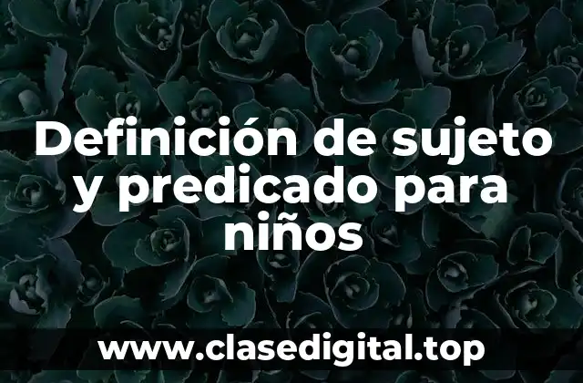 Definición técnica de sujeto y predicado