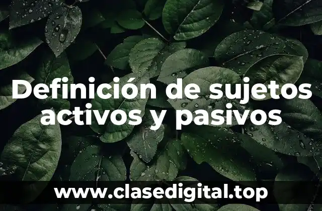Definición de sujetos activos y pasivos