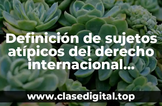 Definición de sujetos atípicos del derecho internacional público
