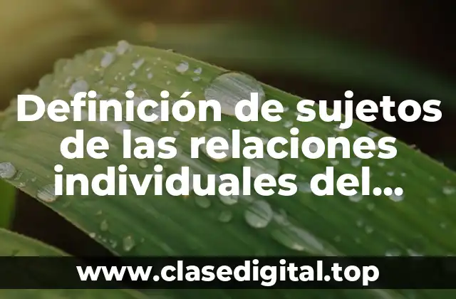 Definición de sujetos de las relaciones individuales del trabajo