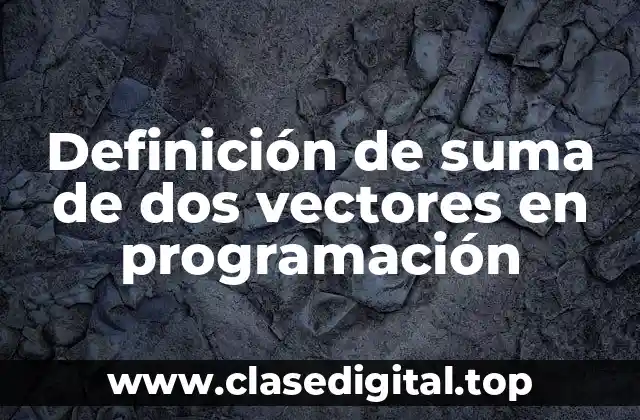 Definición de suma de dos vectores en programación