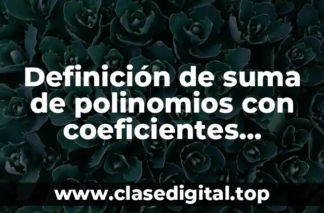 Definición de suma de polinomios con coeficientes fraccionarios