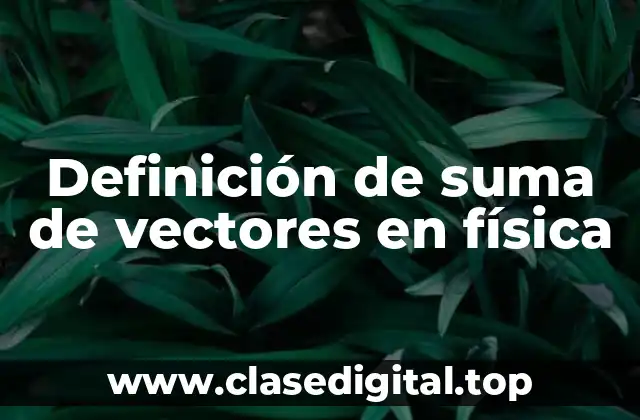 Ejemplos de suma de vectores en física