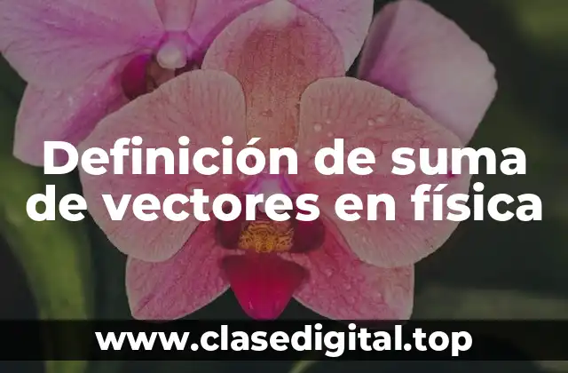 Definición técnica de suma de vectores