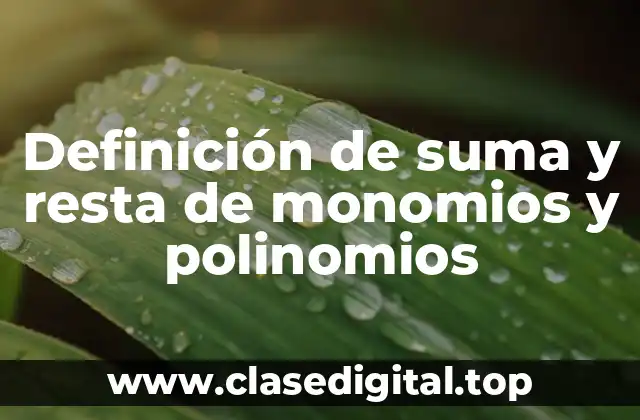 Ejemplos de suma y resta de monomios y polinomios