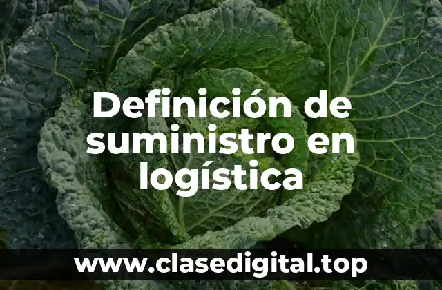 Definición de suministro en logística