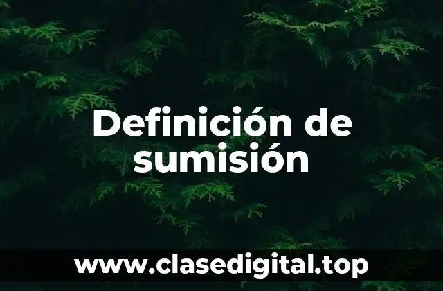 Definición de sumisión