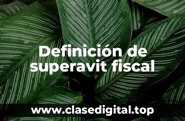 Definición de superavit fiscal