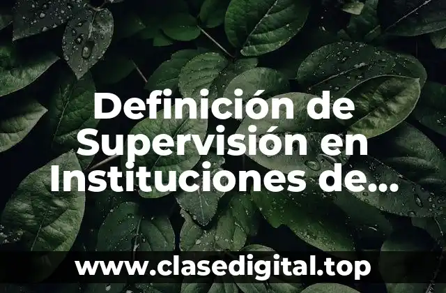Definición de Supervisión en Instituciones de Servicios de Salud