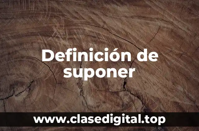 Definición de suponer