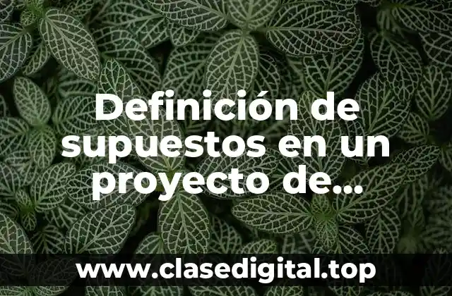 Definición de supuestos en un proyecto de investigación