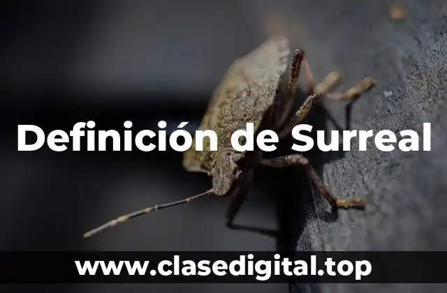 Definición de Surreal