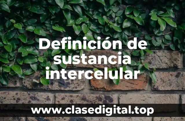 Definición técnica de sustancia intercelular