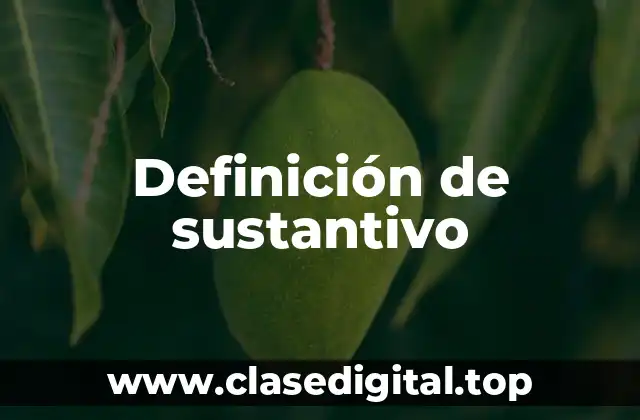 Definición técnica de sustantivo