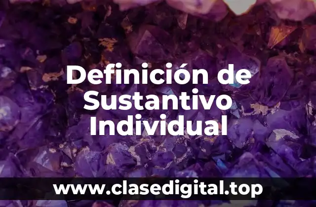 Definición de Sustantivo Individual