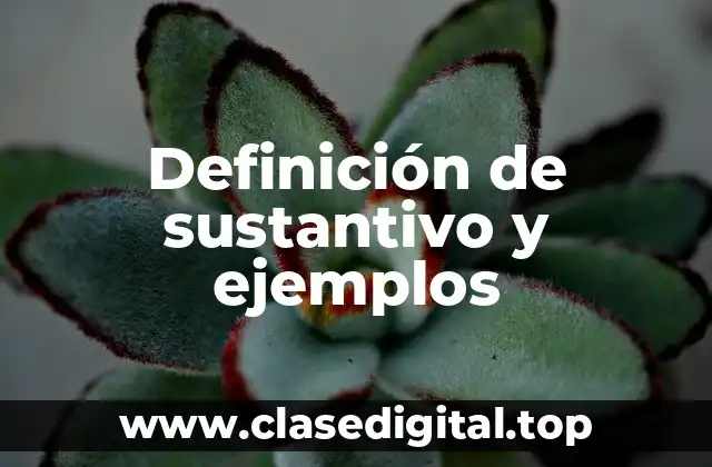 Definición de sustantivo y ejemplos