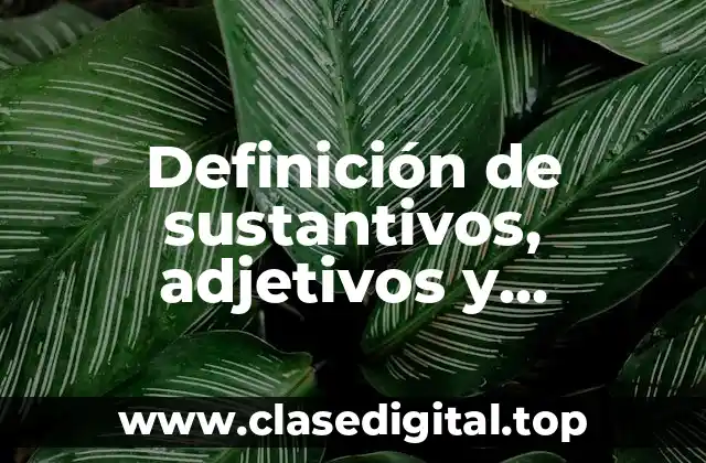 Definición de sustantivos, adjetivos y adverbios
