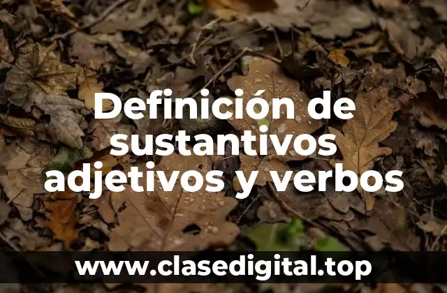 Definición de sustantivos adjetivos y verbos