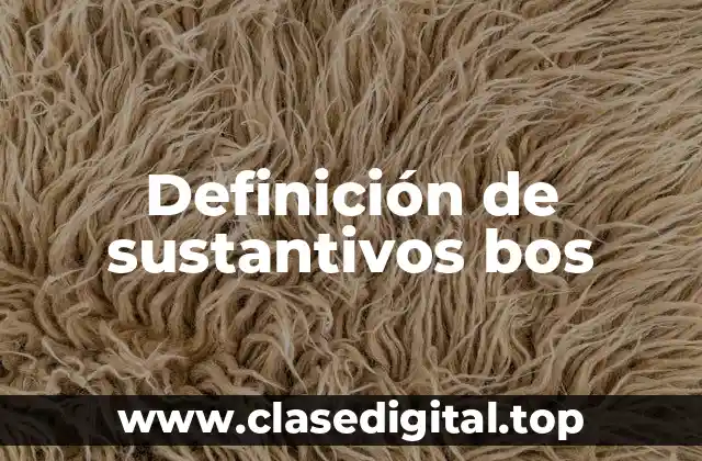 Definición de sustantivos bos